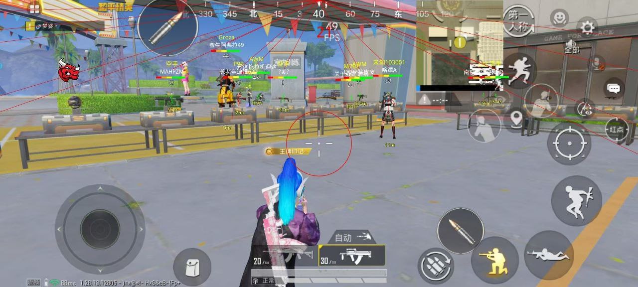 和平精英辅助【飞鸟】